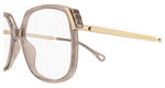 BROWN / GOLD / TRANSPARENT