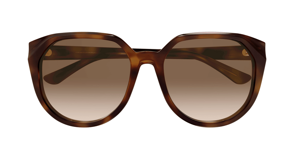 HAVANA / BROWN