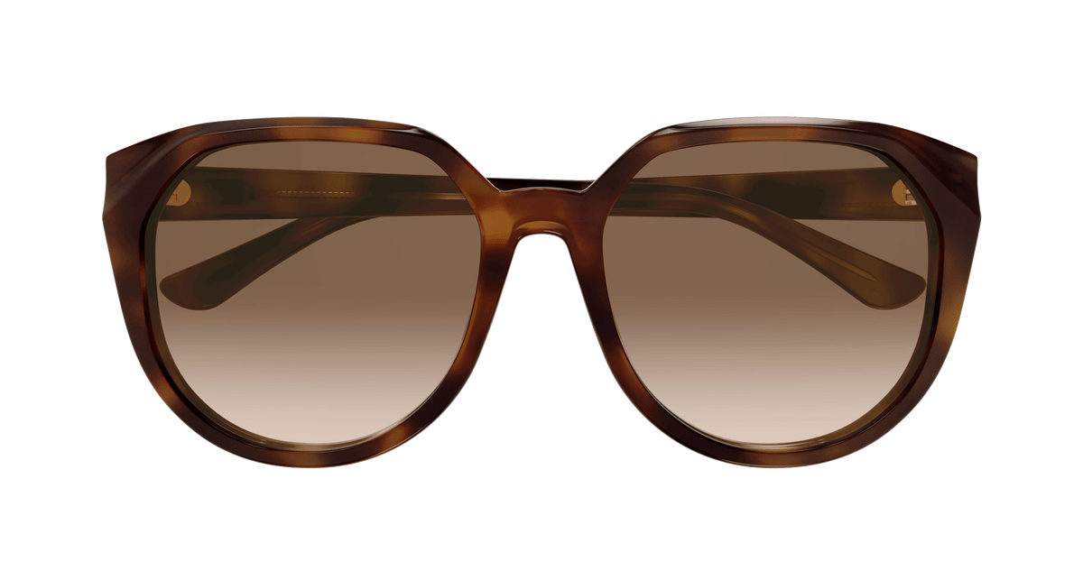 HAVANA / BROWN