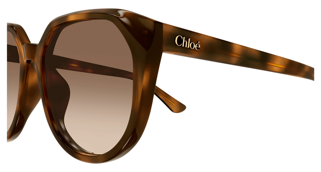 HAVANA / BROWN