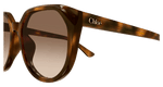 HAVANA / BROWN