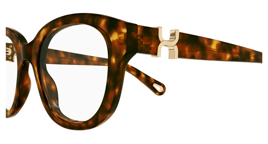 HAVANA / TRANSPARENT