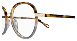 HAVANA / TRANSPARENT