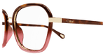HAVANA / TRANSPARENT