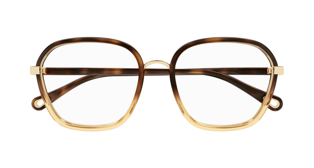 HAVANA / TRANSPARENT