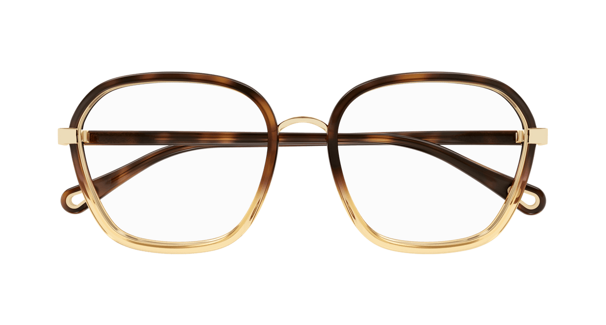 HAVANA / TRANSPARENT