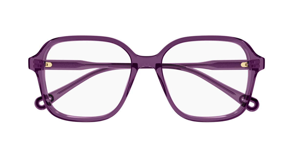 BURGUNDY / TRANSPARENT