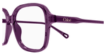 BURGUNDY / TRANSPARENT