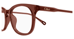 BROWN / TRANSPARENT
