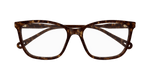 HAVANA / TRANSPARENT