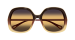 BROWN / GOLD / YELLOW