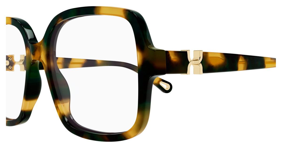 HAVANA / TRANSPARENT