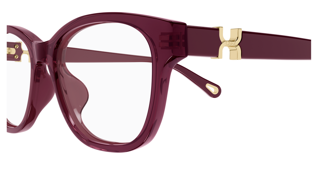 BURGUNDY / RED / TRANSPARENT