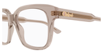 BROWN / TRANSPARENT