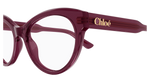 BURGUNDY / TRANSPARENT