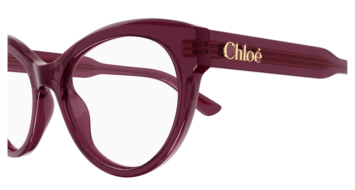 BURGUNDY / TRANSPARENT