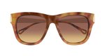 HAVANA / GOLD / BROWN