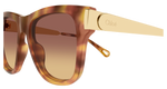 HAVANA / GOLD / BROWN