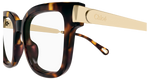 HAVANA / GOLD / TRANSPARENT