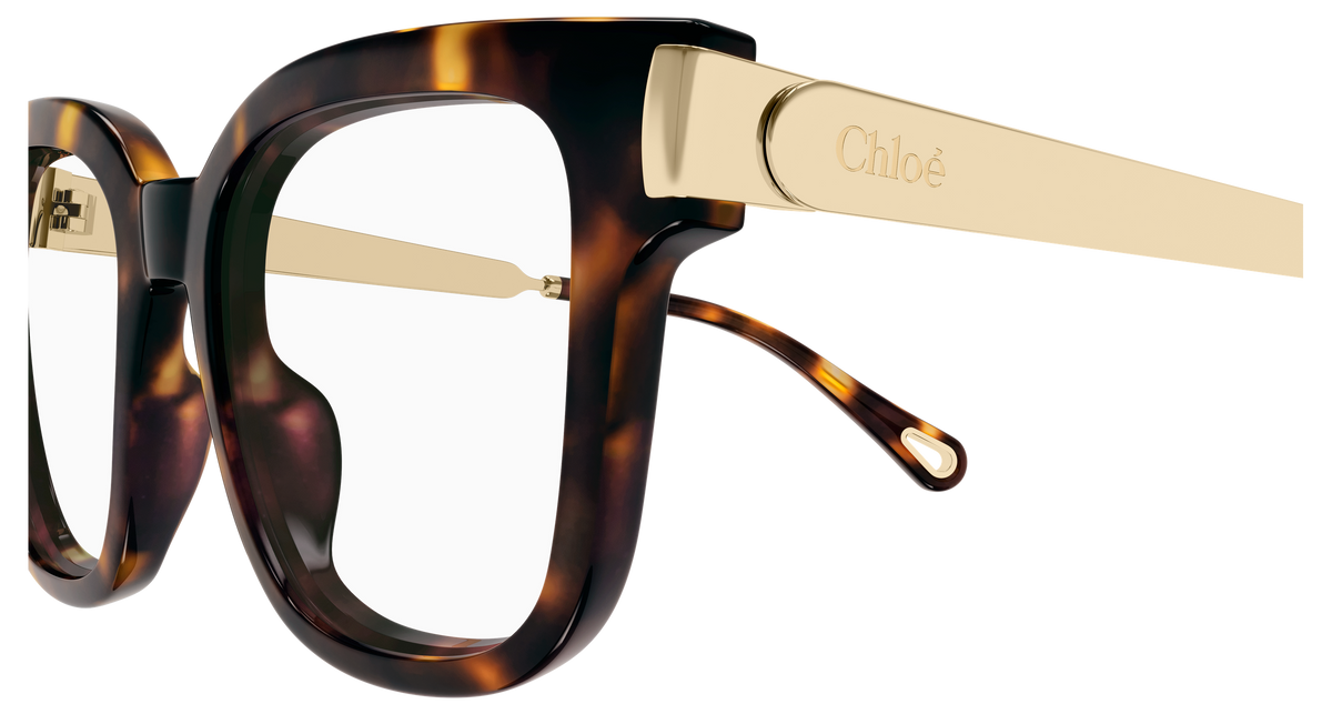 HAVANA / GOLD / TRANSPARENT