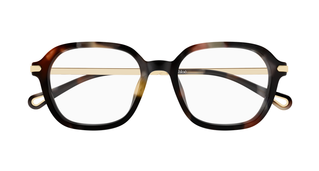 HAVANA / GOLD / TRANSPARENT