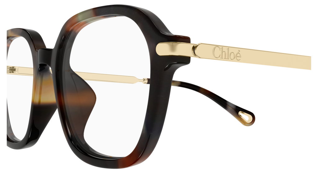 HAVANA / GOLD / TRANSPARENT