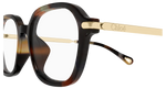 HAVANA / GOLD / TRANSPARENT