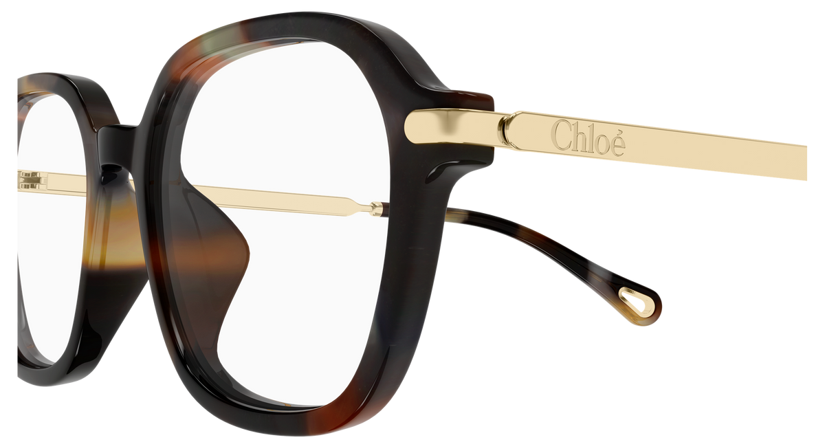 HAVANA / GOLD / TRANSPARENT