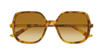 HAVANA / BROWN