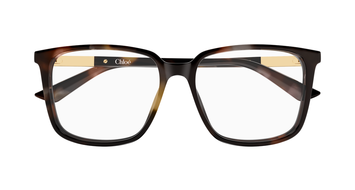 HAVANA / TRANSPARENT