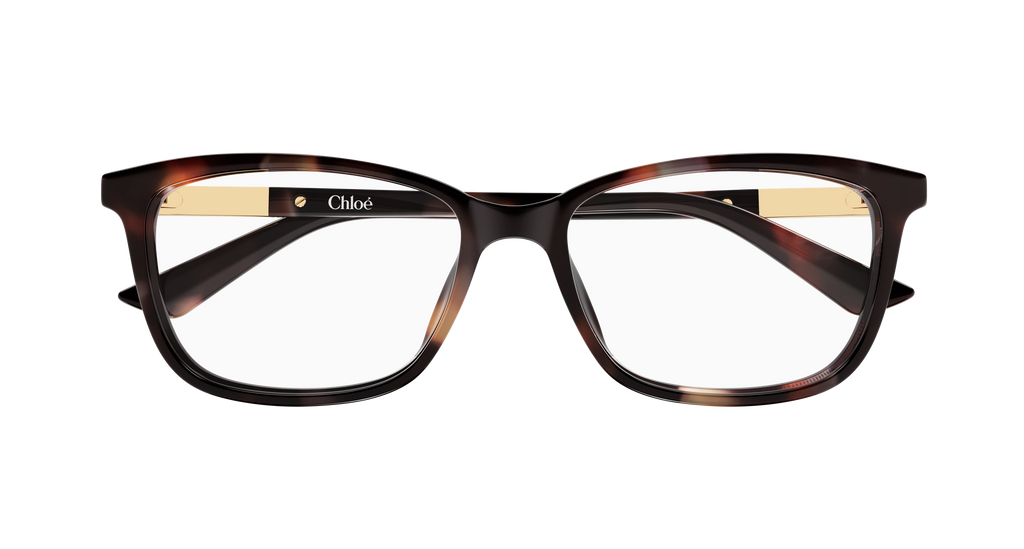 HAVANA / TRANSPARENT