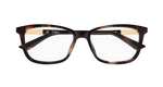 HAVANA / TRANSPARENT