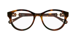 HAVANA / TRANSPARENT
