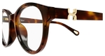 HAVANA / TRANSPARENT