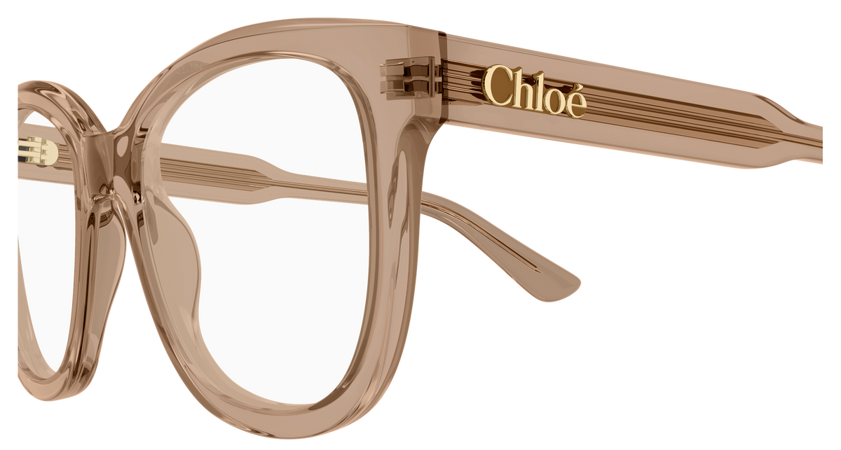 BROWN / TRANSPARENT