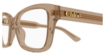 BROWN / TRANSPARENT