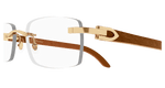 GOLD / BROWN / TRANSPARENT