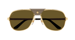 GOLD / BROWN