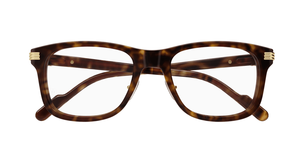 HAVANA / TRANSPARENT