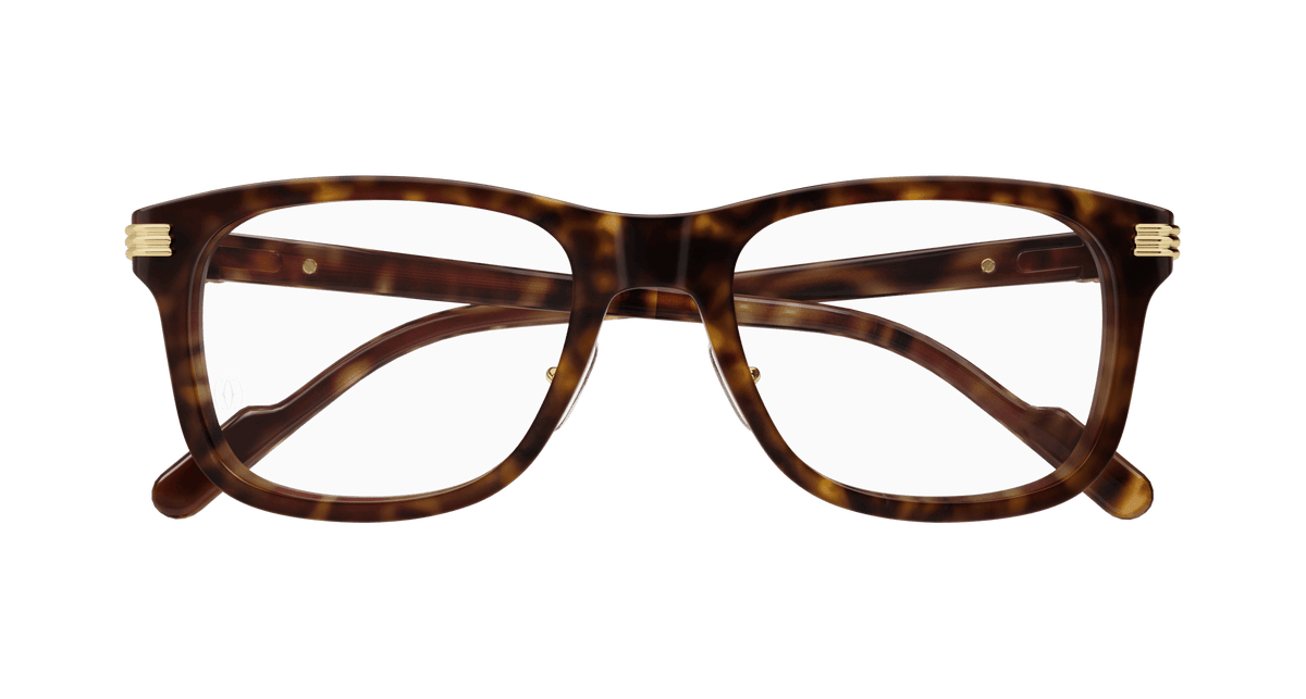 HAVANA / TRANSPARENT