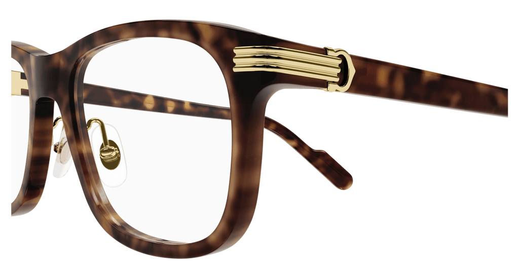 HAVANA / TRANSPARENT