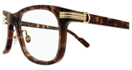 HAVANA / TRANSPARENT