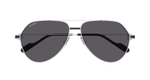 SILVER / GREY