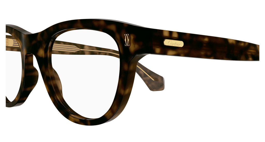HAVANA / TRANSPARENT