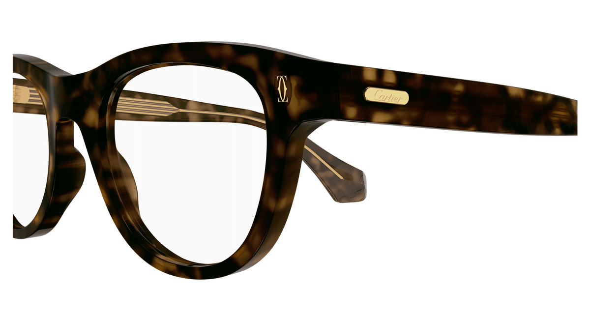 HAVANA / TRANSPARENT