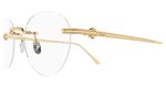GOLD / TRANSPARENT