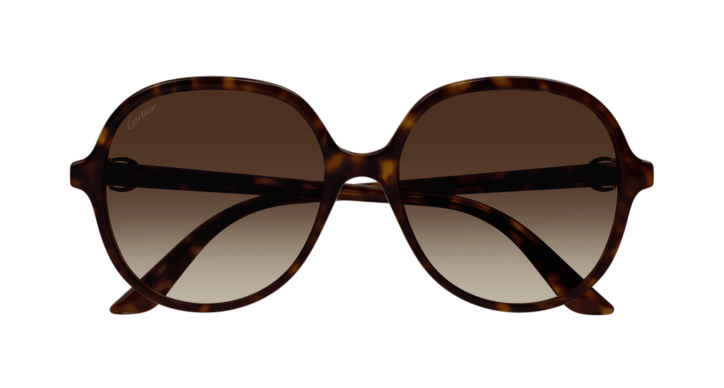 HAVANA / BROWN