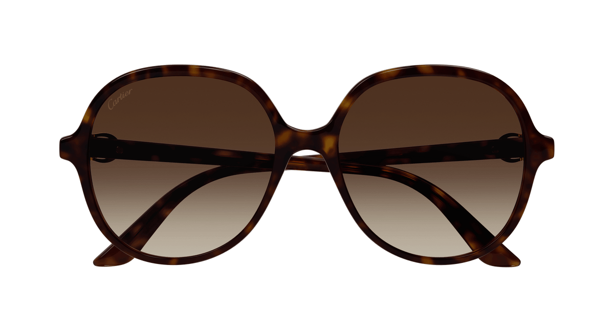 HAVANA / BROWN