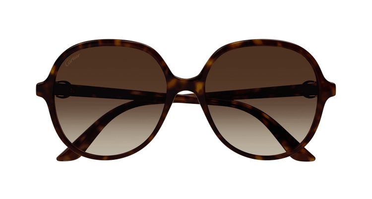 HAVANA / BROWN