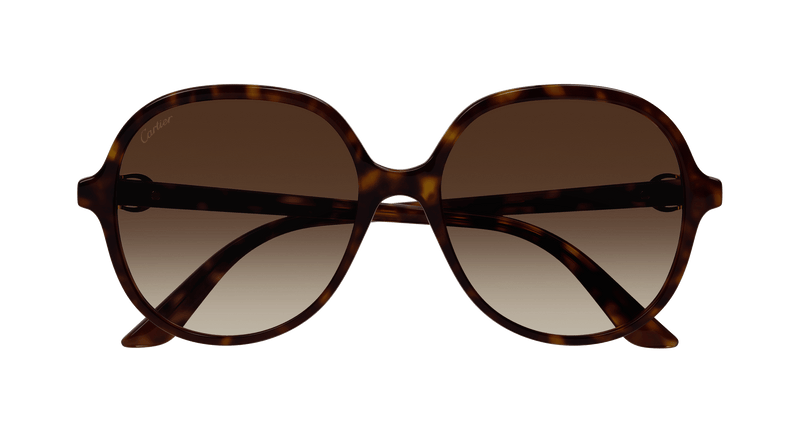 HAVANA / BROWN